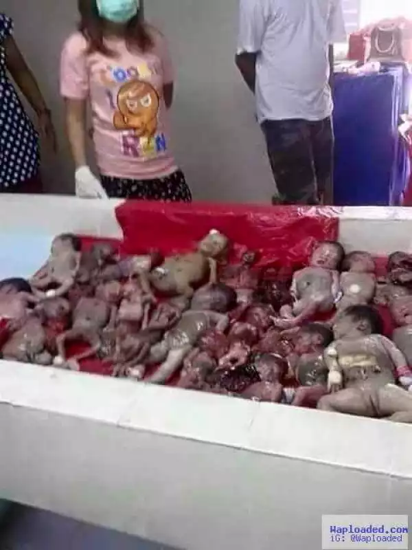 Dead Babies Found In A Refrigerator At A Chinese Restaurant [Graphic Photos]